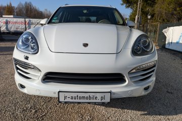 Skóra Panorama Navi TUV z Niemiec